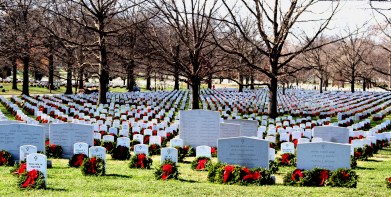 Abraham Lincoln National Cemetery